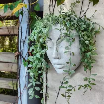 Girls Face Head Flower Planter Succulent Plant