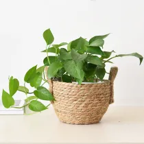 Natural Water Hyacinth Plant Pot Multifunctional Woven Water Hyacinth Garden Flower Pot