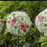 Solar Flower Ball Lamp Lawn Butterfly Ball LED Lamp Courtyard Decorative Lamp