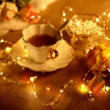 Pearl Led String Lights Starry Fairy Lights for Bedroom Christmas Parties Wedding