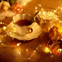 Pearl Led String Lights Starry Fairy Lights for Bedroom Christmas Parties Wedding