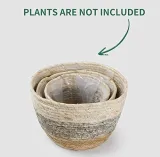 Woven Seagrass Basket for Plant Water Hyacinth Stylish Planter Baskets