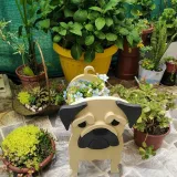 Pet Style Planter Pots British Bucket Shape Garden Flower Pot
