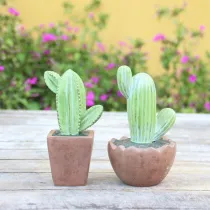Cactus Simulation Resin Crafts For Gift