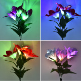 LED Colorful Gradient Decoration Lawn Insert Garden Fiber Solar Orchid Light