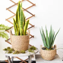 Natural Sea Grass Basket Woven Plant Pot Rattan Straw Basket