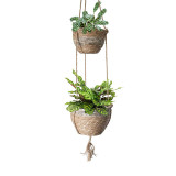 Natural Seaweed Hanging Basket Flower Pot  Plant Flower Pots