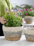 Woven Seagrass Basket for Plant Water Hyacinth Stylish Planter Baskets
