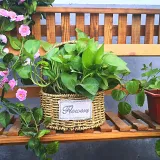 Living Room Decoration Rectangle Wicker Basket Handle For Flowers