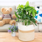 Woven Soft Kids Toy Set Cotton Rope Basket Indoor Planters For Indoor Plants