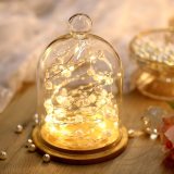 Pearl Led String Lights Starry Fairy Lights for Bedroom Christmas Parties Wedding