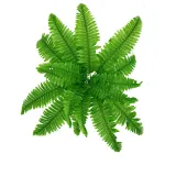 Home Garden Artificial Persian Fern Plants Room Decoration