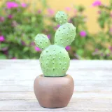 Cactus Simulation Resin Crafts For Gift