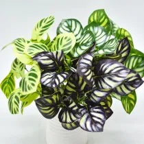 Home Garden Artificial Striped Leaves Plant Room Decoration