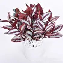 Home Garden Artificial Green Potted Plants Room Decoration