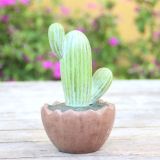 Cactus Simulation Resin Crafts For Gift
