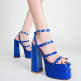 Open Toe Buckle Strap Platform High Thick Heel Shoes