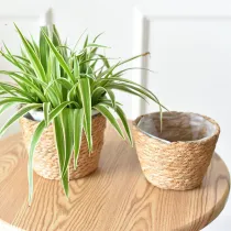 Rattan Flowerpot Grass Woven Flower Basket Decorative Bamboo Basket