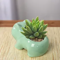 Kawali Ceramic Flowerpot Succulent Planter Decor Ornament