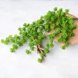 Home Garden Artificial Hanging Branch Pearl Lotus Succulents Plants