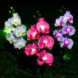 Butterfly Orchid LED Lamp Solar Outdoor Courtyard Lamp Landscape Decoration Lamp