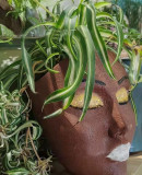 Girls Face Head Flower Planter Succulent Plant
