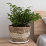 Sustainable Jute Planter Basket For Home School Party Decoration Basket