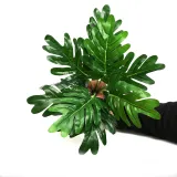 Home Garden Artificial Rohdea Roth Plant Room Decoration