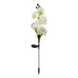 Butterfly Orchid LED Lamp Solar Outdoor Courtyard Lamp Landscape Decoration Lamp