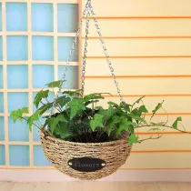 Willow Basket Christmas Decoration Supplies Flower Pots Hanging Basket With Wire Hanger