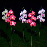 Butterfly Orchid LED Lamp Solar Outdoor Courtyard Lamp Landscape Decoration Lamp