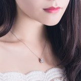 Zircon Diamonds Beating Crown Chain Jewelry Necklace