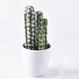Artificial Mini Succulent Plant Cactus Bonsai Ornament