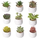 Artificial Mini Succulent Plant Cactus Combination Bonsai Ornament
