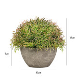 Artificial Cordyceps Potted Plant Combination Mini Pulp Basin Desktop Decoration