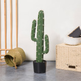 Artificial Plant Potted Cactus Column Green Plant Bonsai Decoration