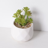 Artificial Mini Succulent Plant Cactus Combination Bonsai Ornament