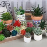 Artificial Plant Potted  Succulent Flower Head DIY Combination