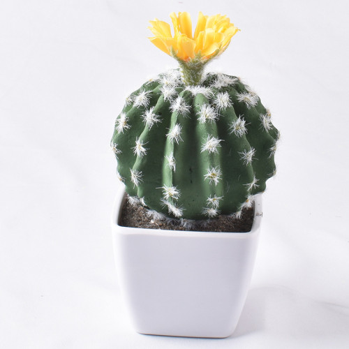 Artificial Mini Succulent Plant Cactus Flower Bonsai Ornament