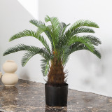 Artificial Plant Potted Cycas Tree Green Plant Bonsai Decoration