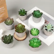 Artificial Sky Frost Lotus Succulent Mini Pulp Potted Basin Balcony Decoration