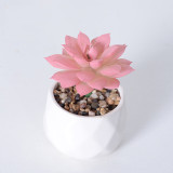 Artificial Mini Succulent Lotus Plant Bonsai Ornament Decoration