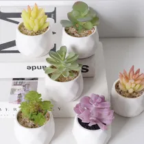 Artificial Mini Succulent Plant Cactus Combination Bonsai Ornament