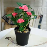 Artificial Plant Potted Rose Flower Green Plant Bonsai Decoration