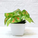 Artificial Mini Green Leaves Potted Home Living Room Indoor Green Plant Decoration