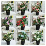 Artificial Plant Potted Lilac Flower Green Plant Bonsai Decoration