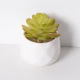 Artificial Saussurea Involucrata Mini Succulent Plant Bonsai Ornament