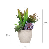Artificial DIY Succulent Plants Combination Mini Pulp Basin Desktop Decoration