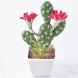 Artificial Mini Succulent Plant Cactus Bonsai Ornament