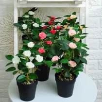 Artificial Plant Potted Rose Flower Green Plant Bonsai Decoration